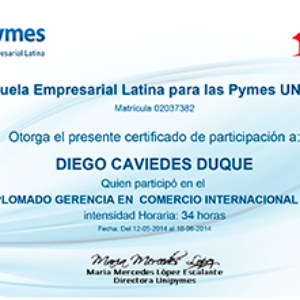 DIPLOMADO GERENCIA EN COMERCIO INTERNACIONAL 2014 1