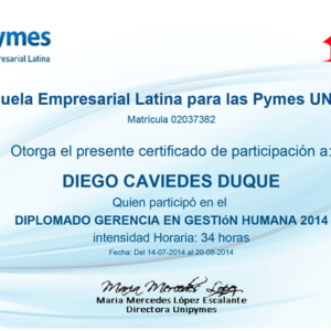 DIPLOMADO GERENCIA EN GESTIoN HUMANA 2014 1