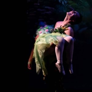 Portafolio Diego Kaviedes 69